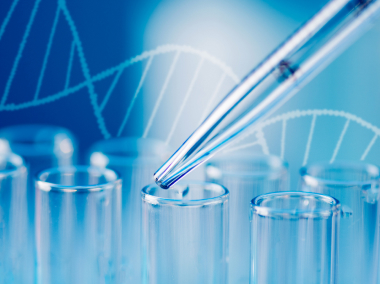 「遺伝子検査」による科学的アプローチ